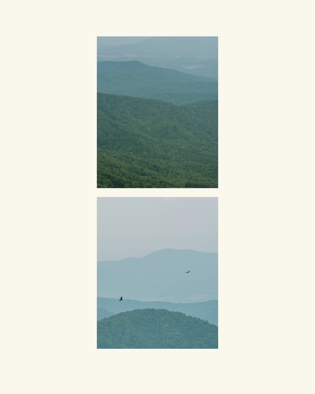 Mountains in Hues of Blue + Shades of Green