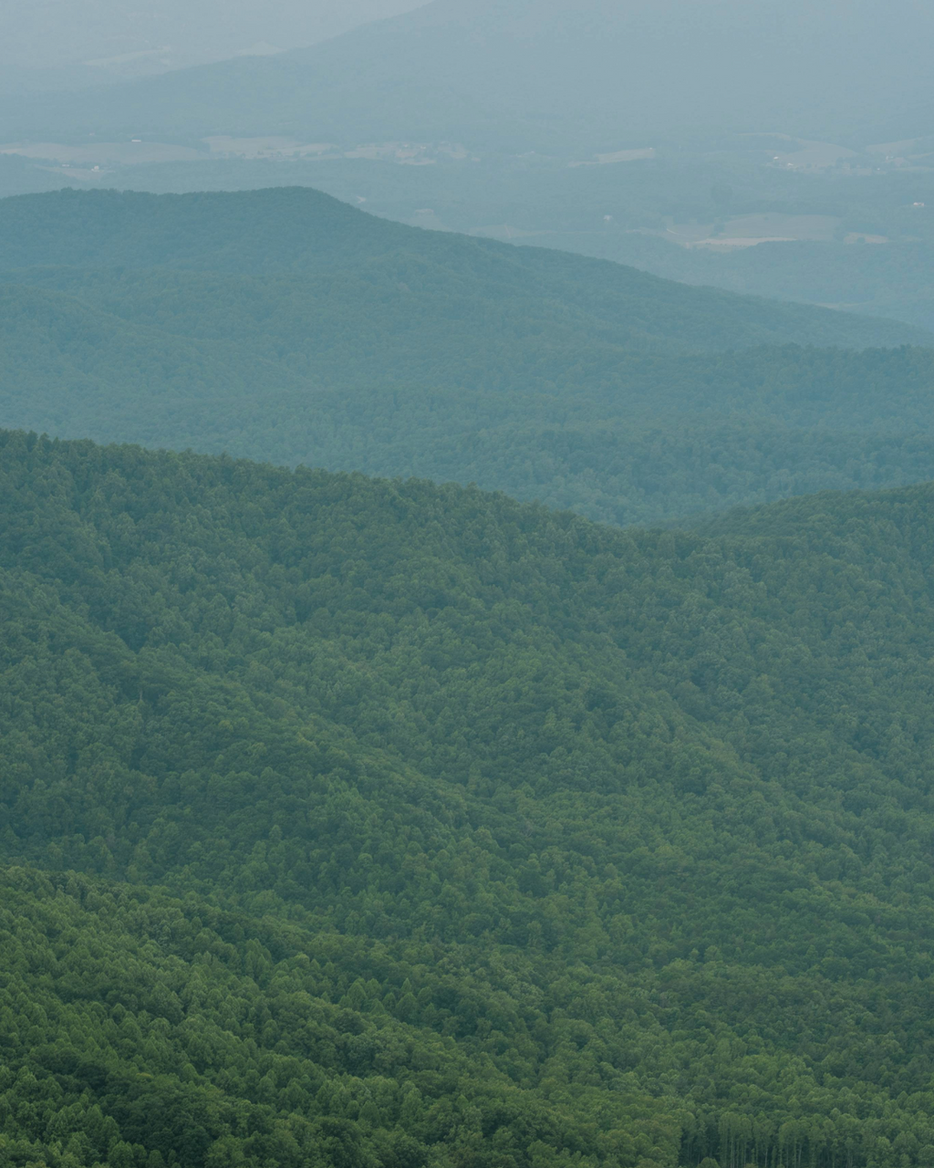 Mountains in Hues of Blue + Shades of Green