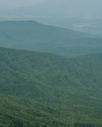 Mountains in Hues of Blue + Shades of Green