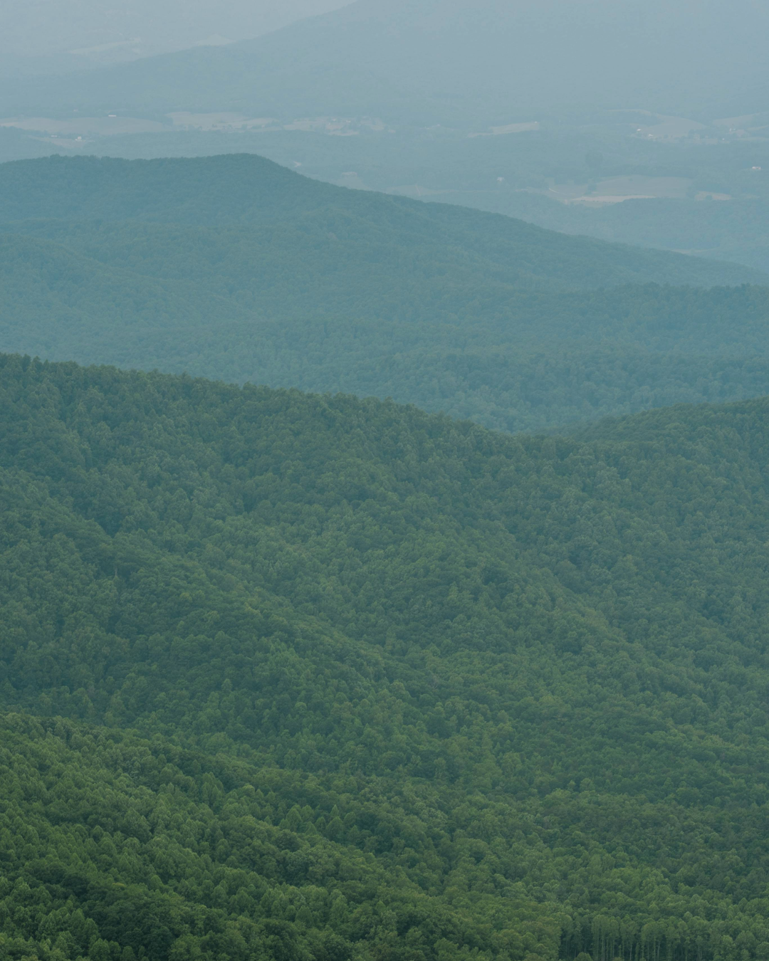 Mountains in Hues of Blue + Shades of Green
