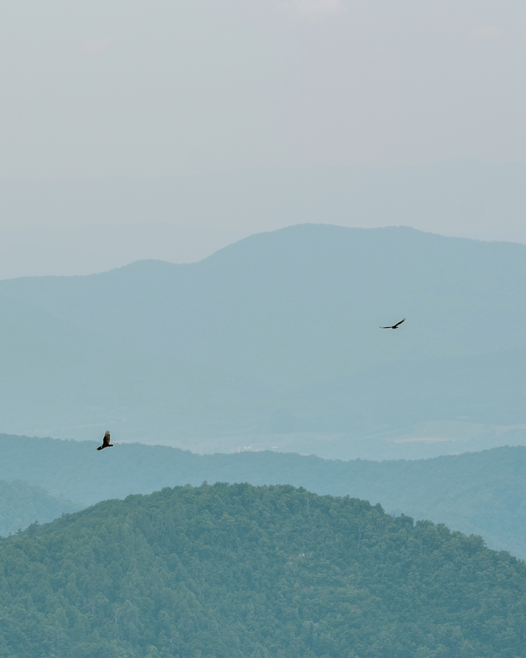 Mountains in Hues of Blue + Shades of Green