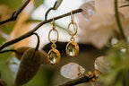 Eden Peridot Earrings