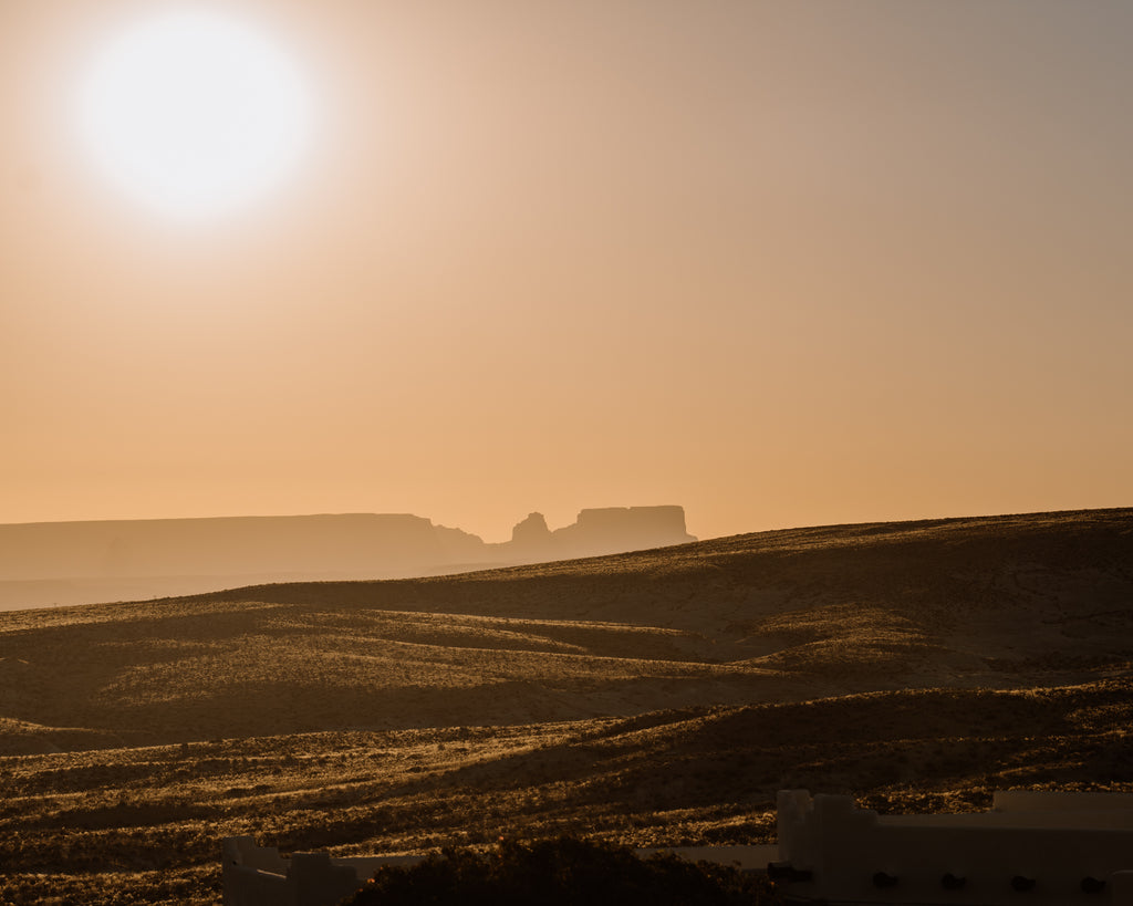 Desert Silhouette