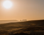 Desert Silhouette
