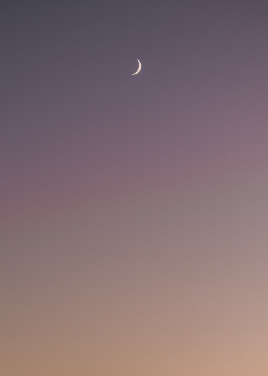 Purple Moon