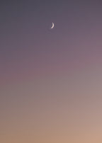 Purple Moon